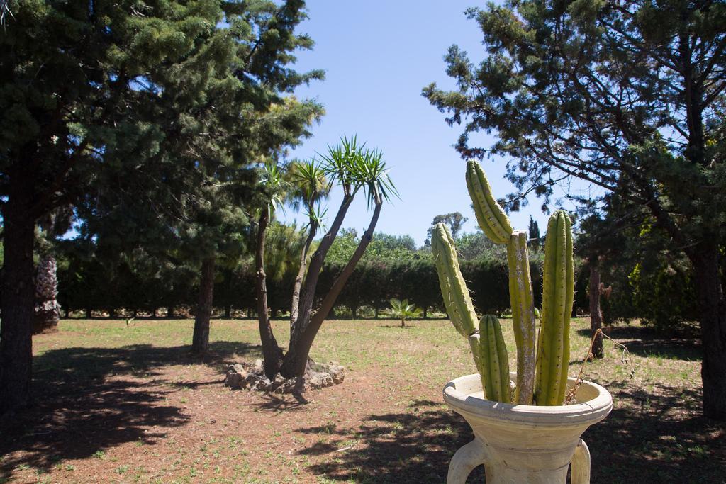 Villa Dei Sogni Gallipoli 툴리에 외부 사진